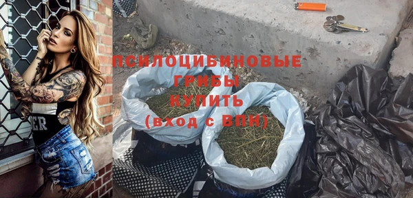 прущие грибы Алексеевка