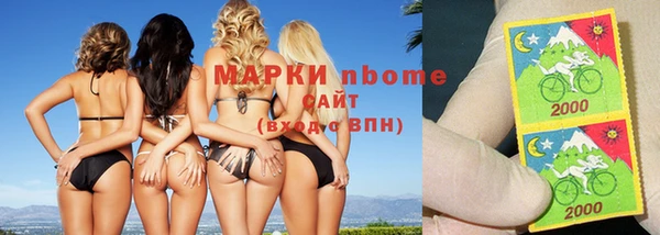прущие грибы Алексеевка