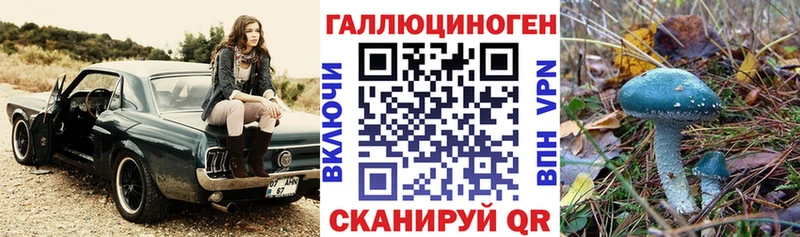 Псилоцибиновые грибы GOLDEN TEACHER  Лаишево 